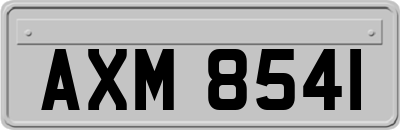 AXM8541