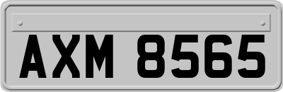 AXM8565