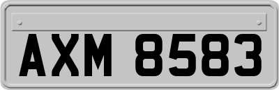 AXM8583
