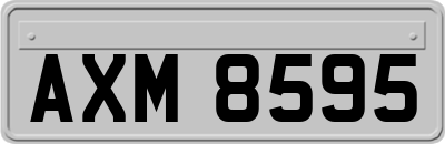AXM8595