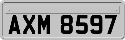 AXM8597