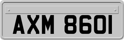 AXM8601