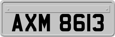 AXM8613