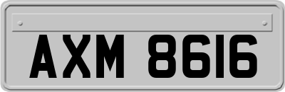 AXM8616