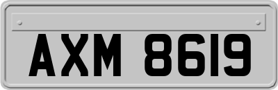 AXM8619