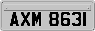 AXM8631