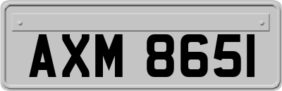 AXM8651