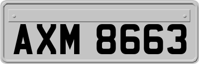 AXM8663