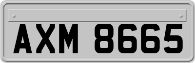 AXM8665