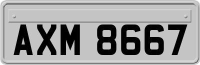 AXM8667