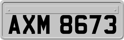 AXM8673