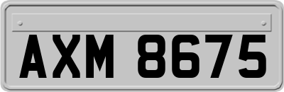 AXM8675