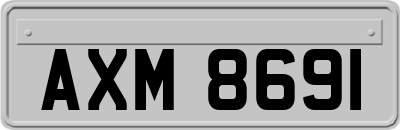 AXM8691