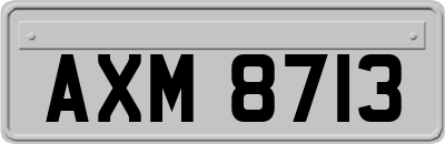 AXM8713