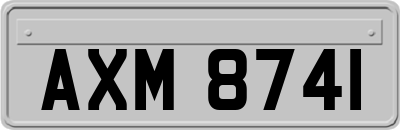 AXM8741