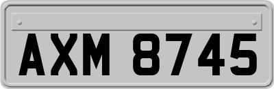 AXM8745