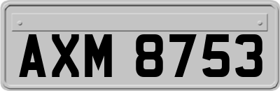 AXM8753