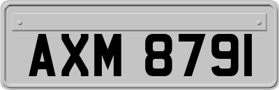 AXM8791