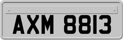 AXM8813