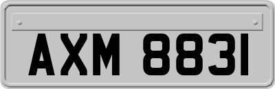 AXM8831