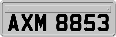 AXM8853