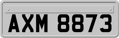 AXM8873