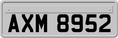 AXM8952
