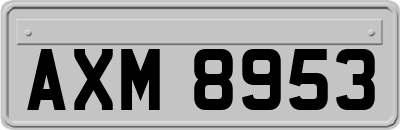 AXM8953