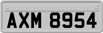 AXM8954