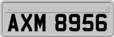 AXM8956