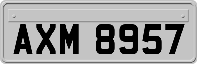 AXM8957