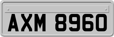 AXM8960