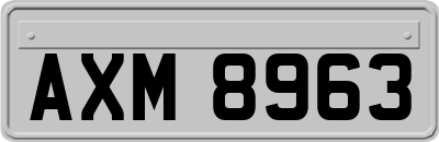 AXM8963