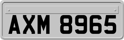 AXM8965