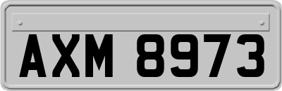 AXM8973