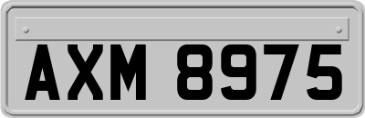 AXM8975