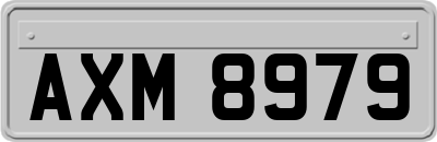AXM8979