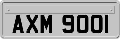 AXM9001