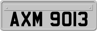 AXM9013