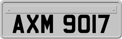 AXM9017