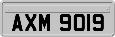AXM9019