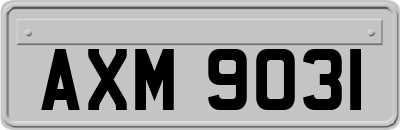 AXM9031