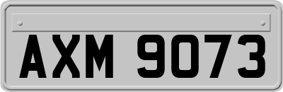 AXM9073
