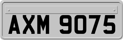 AXM9075