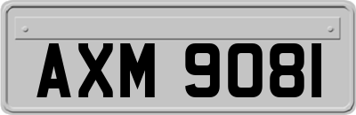 AXM9081