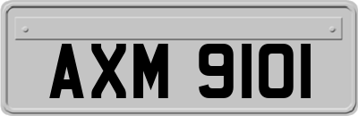 AXM9101