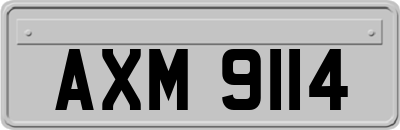 AXM9114