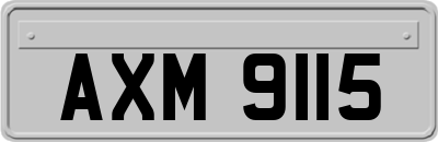 AXM9115