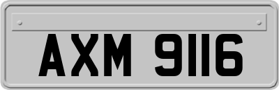 AXM9116