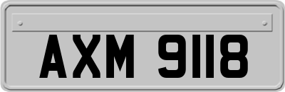 AXM9118